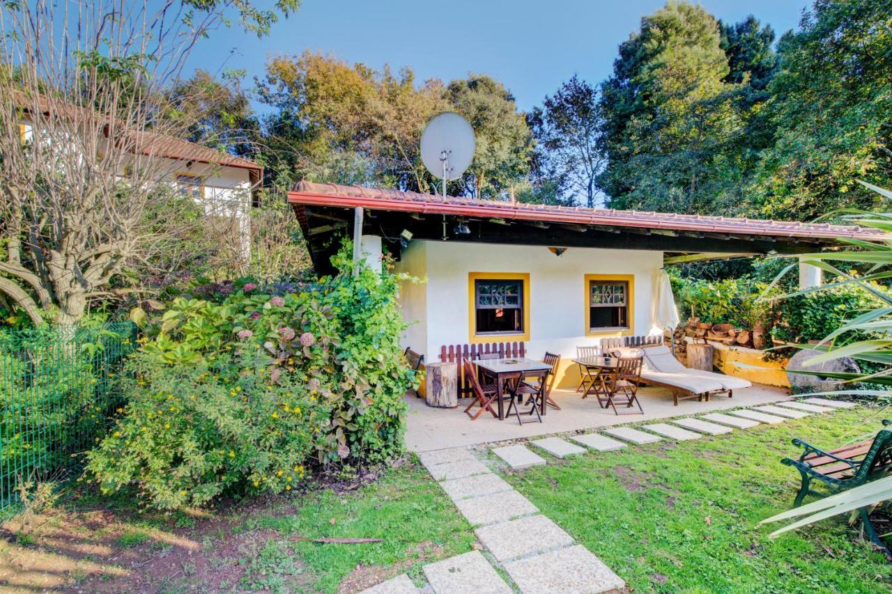 Casa Do Moinho Rural Campo E Praia , 9 Pessoas, Animais Benvindos Espinho  Exterior foto