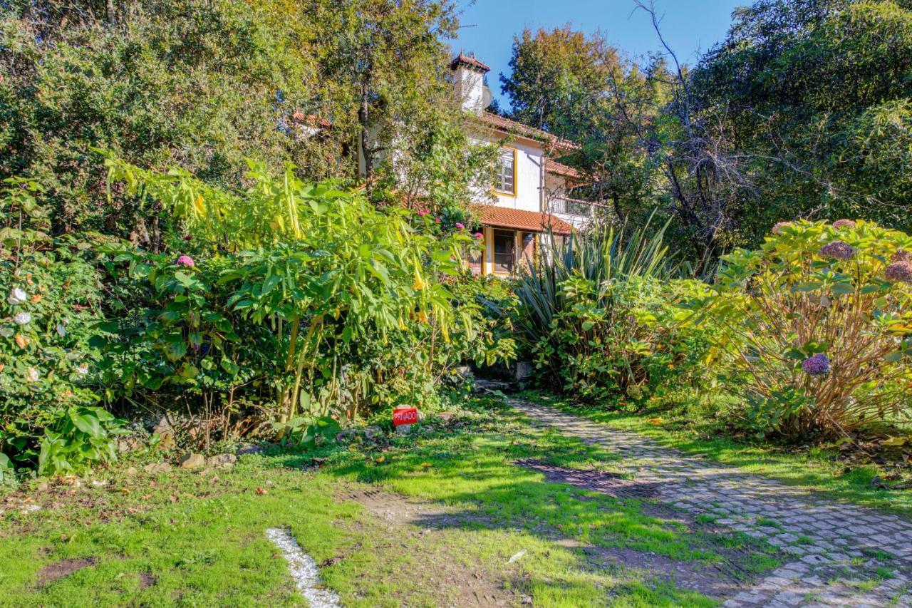 Casa Do Moinho Rural Campo E Praia , 9 Pessoas, Animais Benvindos Espinho  Exterior foto